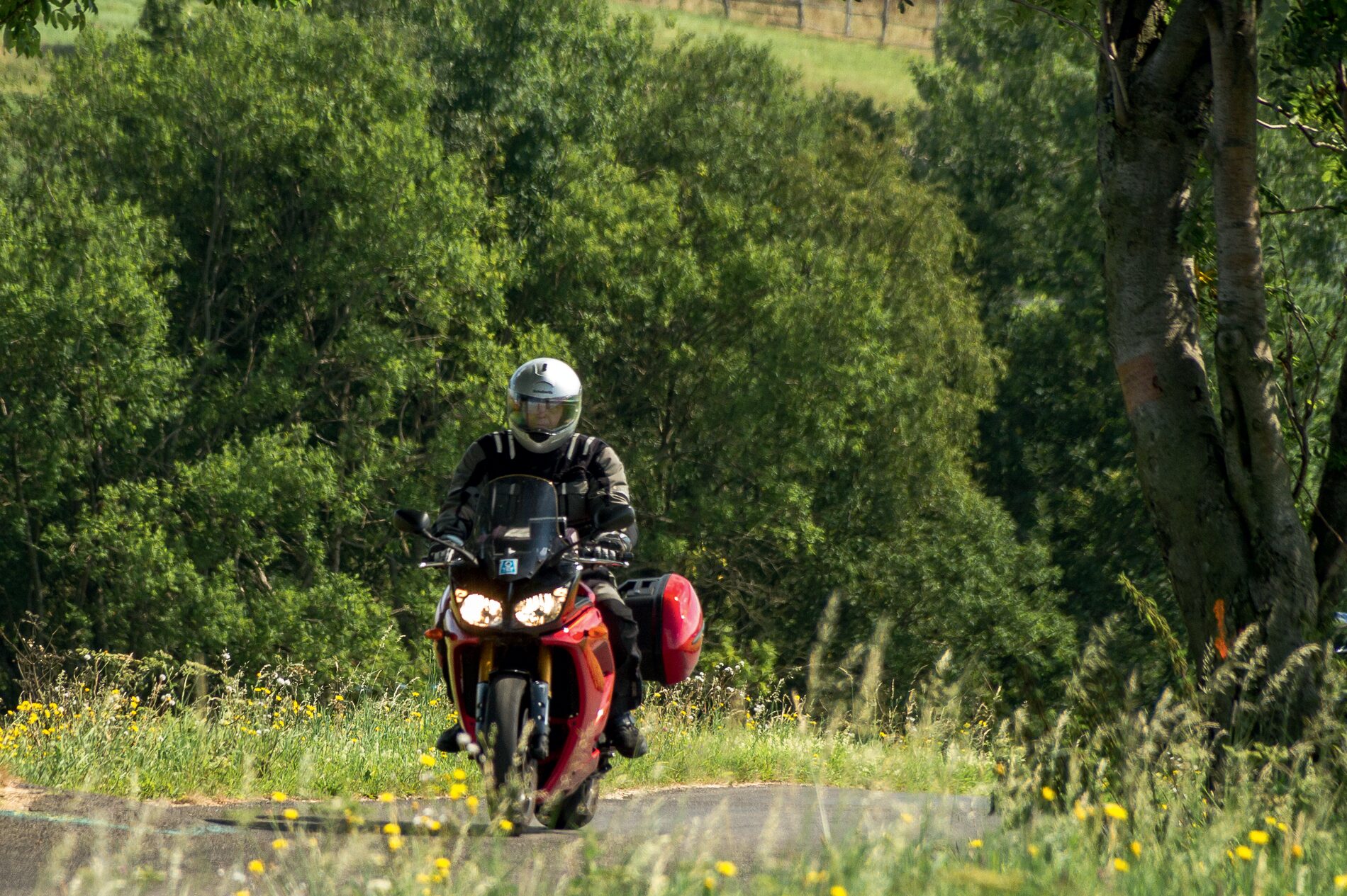 Motorrad mit rotem Tank und Koffern kommt zwischen blühenden Wiesen und Bäumen auf den Betrachter zu