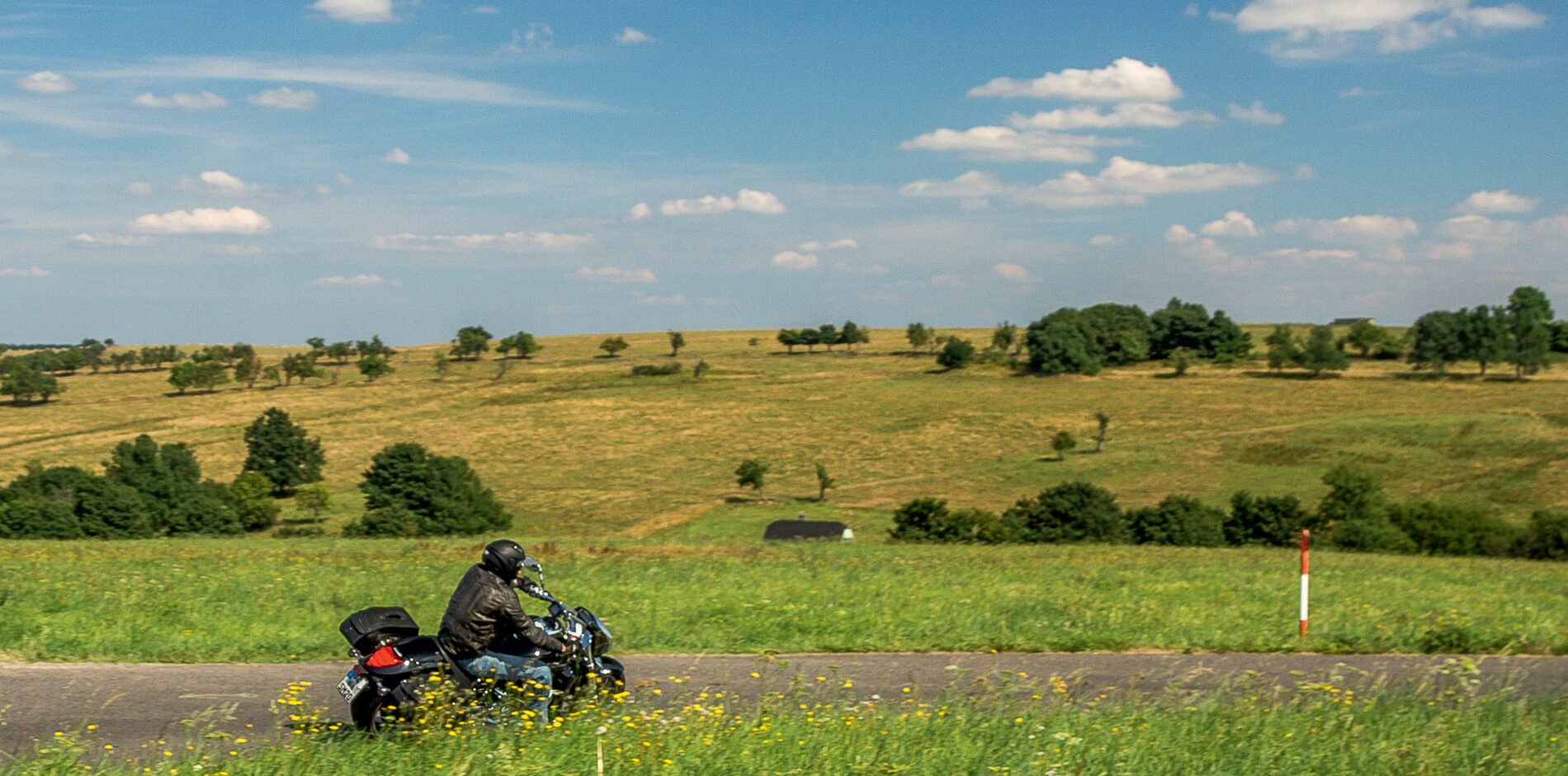 Motorradfahrer auf einer Straße durch eine weite, hügelige Wiesenlandschaft mit einzelnen Bäumen