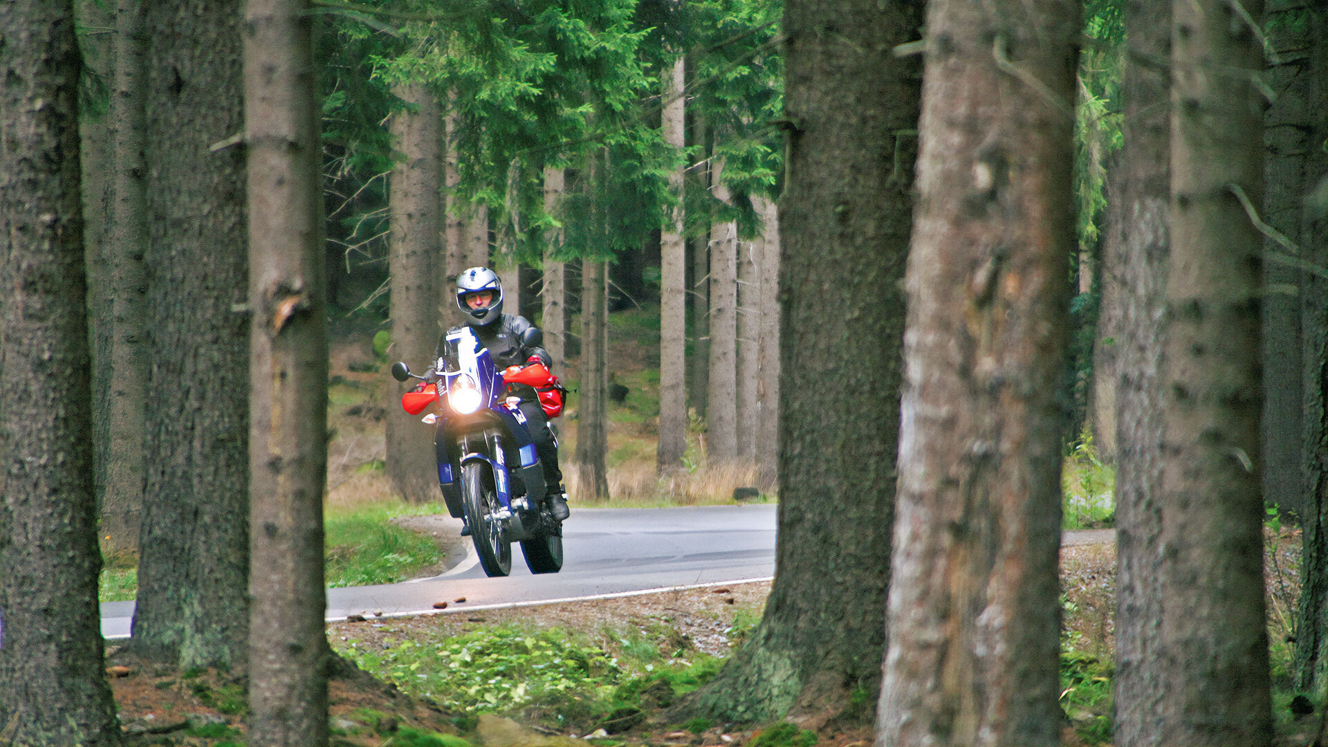 Vom Erzgebirge in den Bayerischen Wald